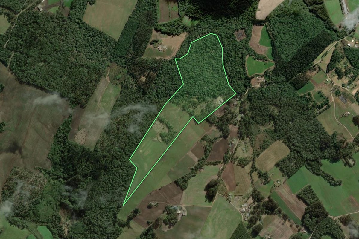 Imagem de satélite do imóvel rural em Itaiópolis (SC), com o contorno declarado no CAR desenhado por cima.