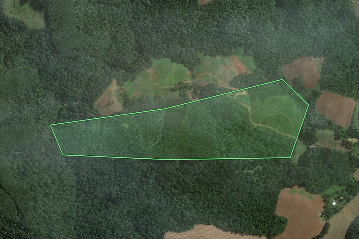 Imagem de satélite do imóvel rural em Itaiópolis (SC), com o contorno declarado no CAR desenhado por cima.