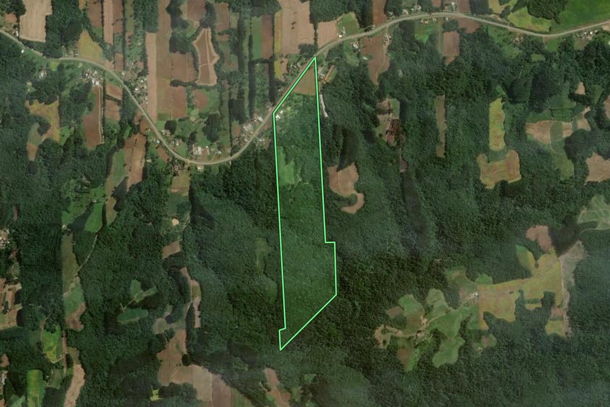 Imagem de satélite do imóvel rural em Itaiópolis (SC), com o contorno declarado no CAR desenhado por cima.