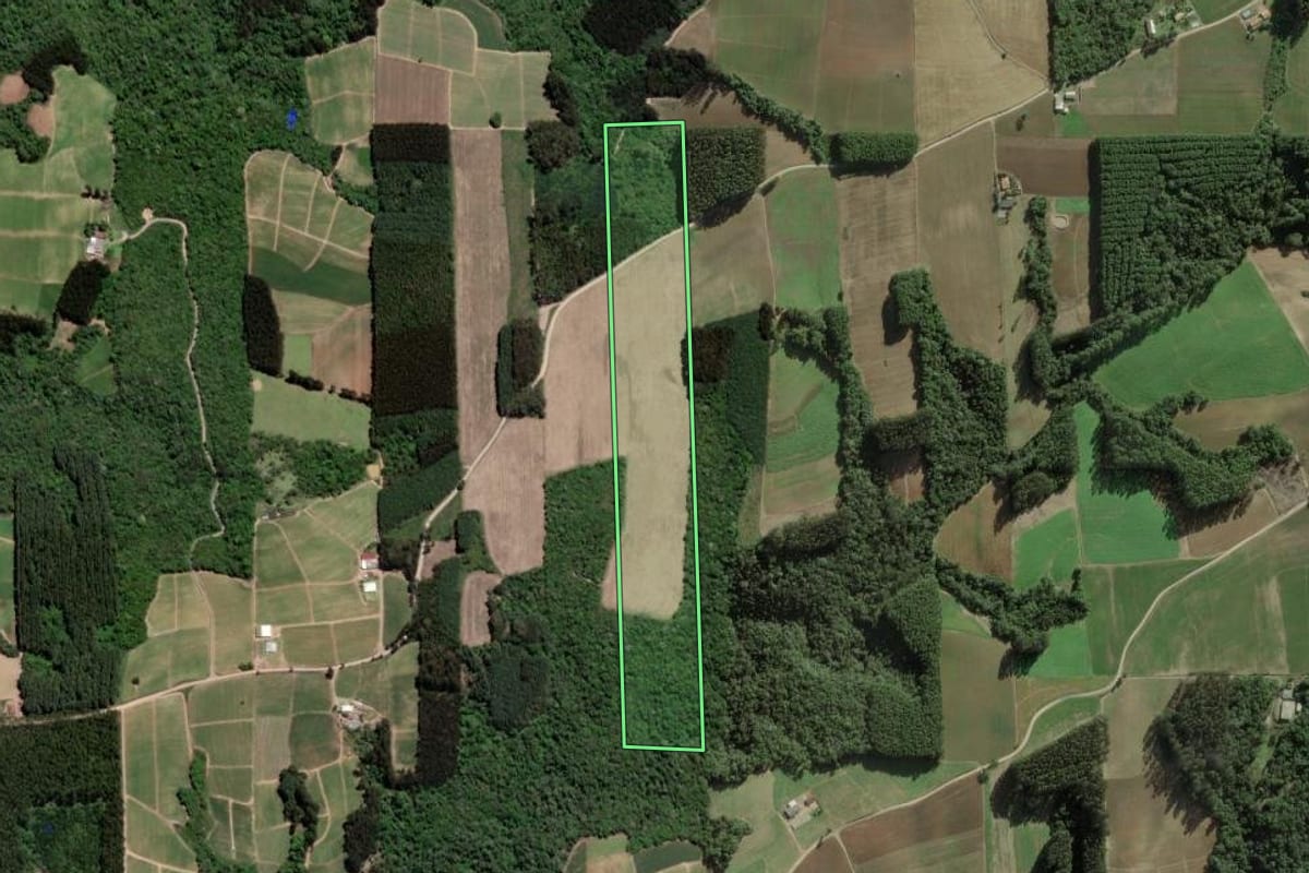Imagem de satélite do imóvel rural em Itaiópolis (SC), com o contorno declarado no CAR desenhado por cima.