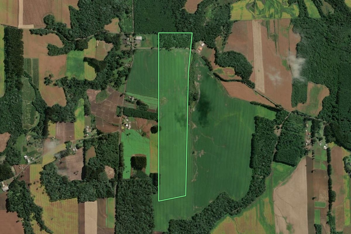 Imagem de satélite do imóvel rural em Itaiópolis (SC), com o contorno declarado no CAR desenhado por cima.