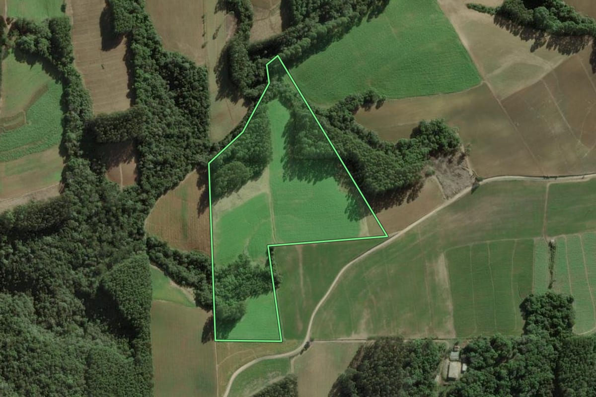 Imagem de satélite do imóvel rural em Itaiópolis (SC), com o contorno declarado no CAR desenhado por cima.