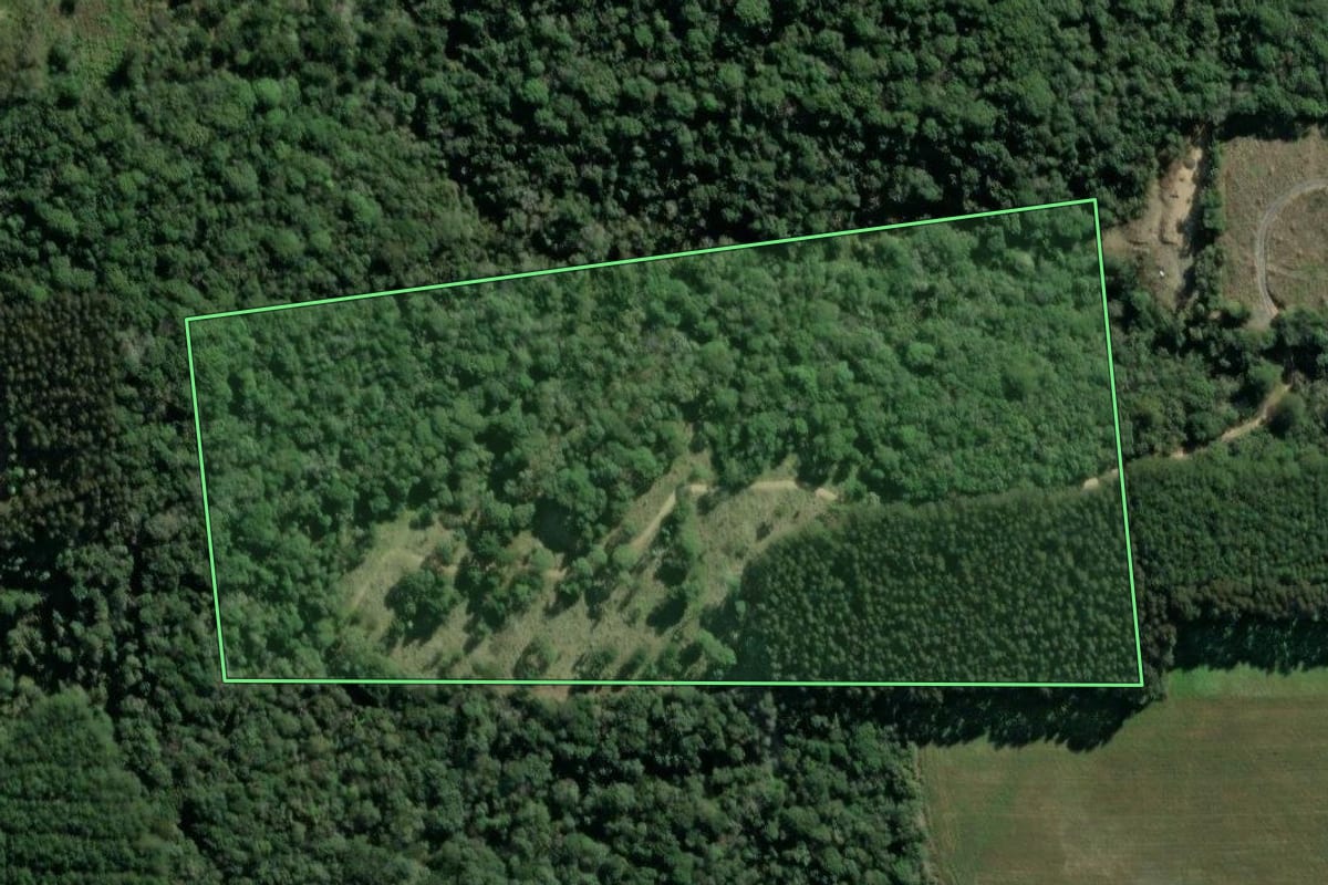 Imagem de satélite do imóvel rural em Itaiópolis (SC), com o contorno declarado no CAR desenhado por cima.