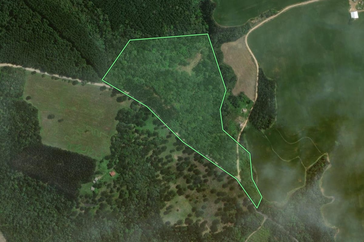 Imagem de satélite do imóvel rural em Itaiópolis (SC), com o contorno declarado no CAR desenhado por cima.