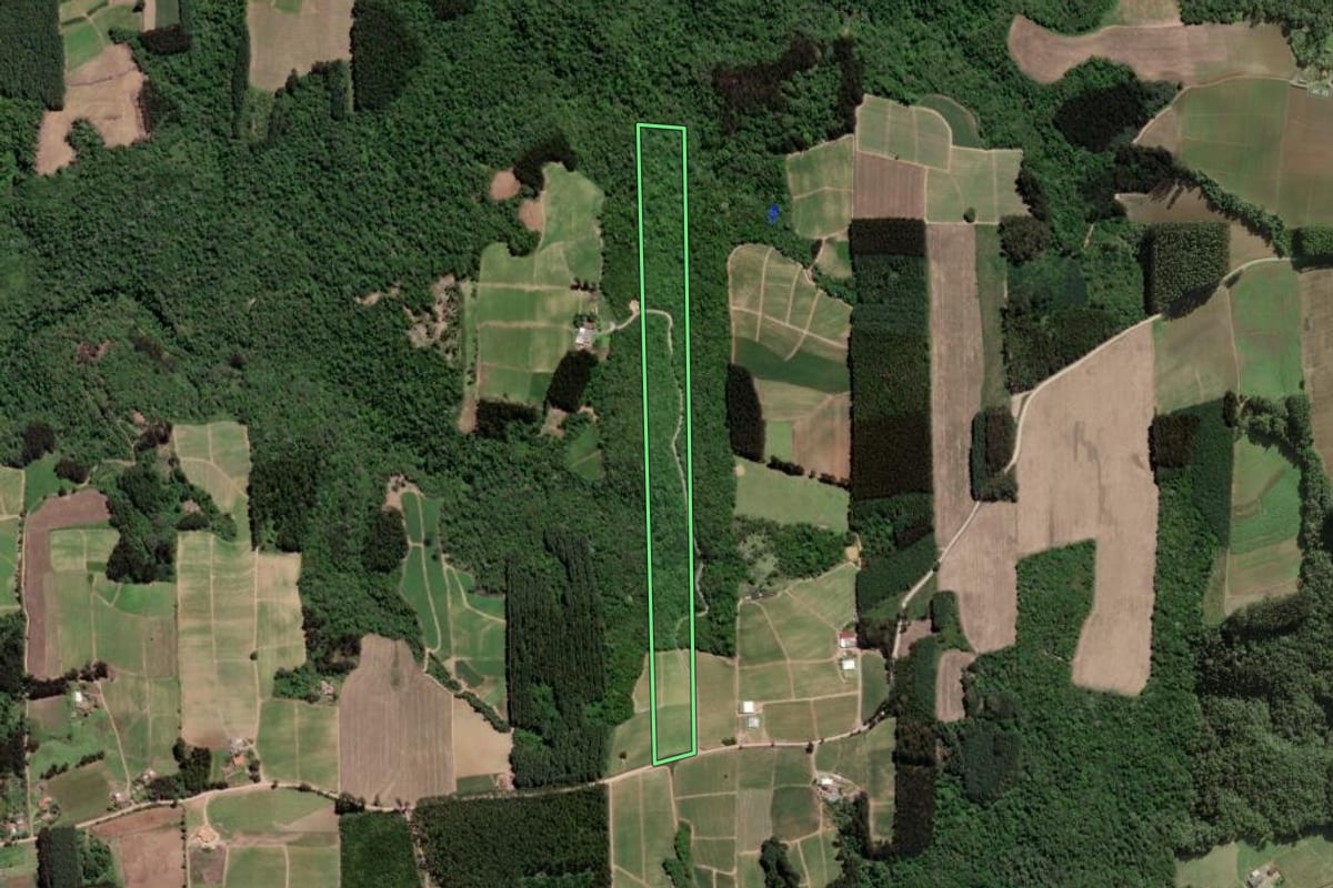 Imagem de satélite do imóvel rural em Itaiópolis (SC), com o contorno declarado no CAR desenhado por cima.
