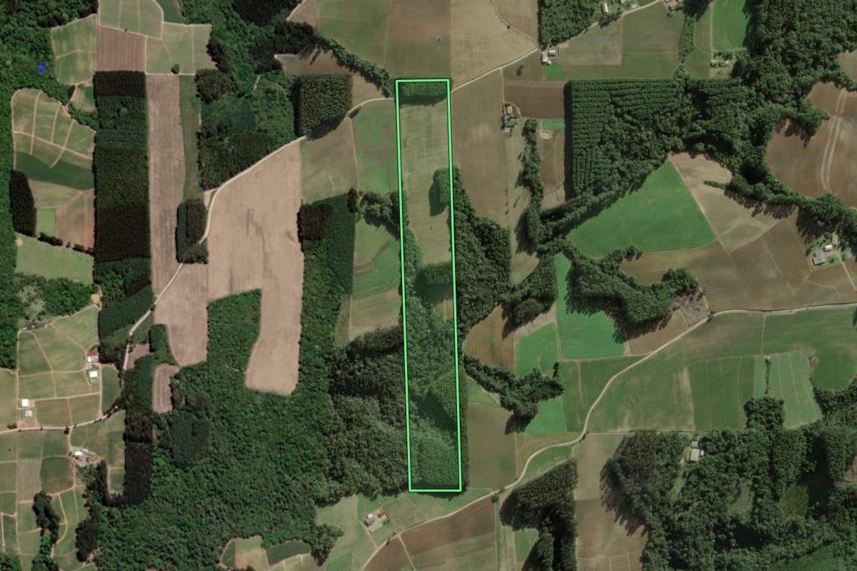 Imagem de satélite do imóvel rural em Itaiópolis (SC), com o contorno declarado no CAR desenhado por cima.
