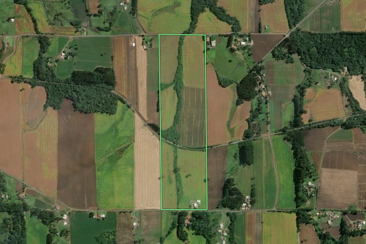 Imagem de satélite do imóvel rural em Itaiópolis (SC), com o contorno declarado no CAR desenhado por cima.
