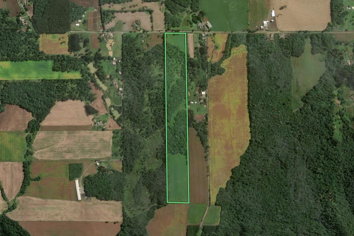 Imagem de satélite do imóvel rural em Itaiópolis (SC), com o contorno declarado no CAR desenhado por cima.