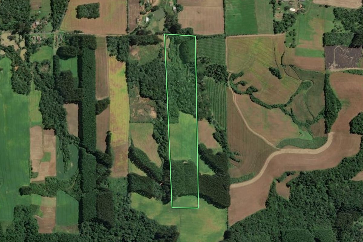 Imagem de satélite do imóvel rural em Itaiópolis (SC), com o contorno declarado no CAR desenhado por cima.