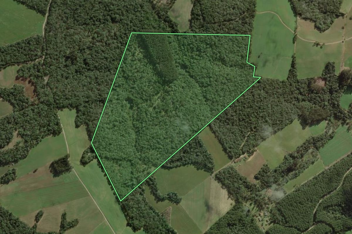 Imagem de satélite do imóvel rural em Itaiópolis (SC), com o contorno declarado no CAR desenhado por cima.