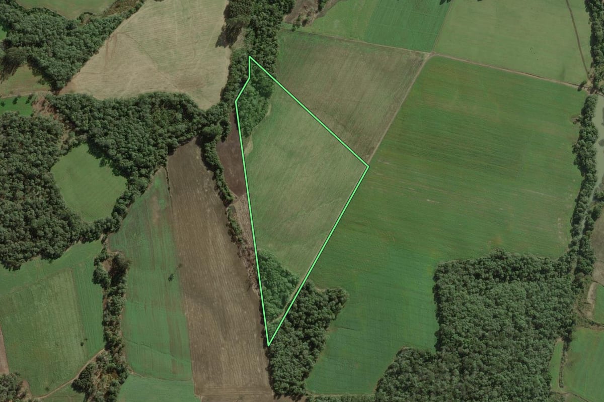 Imagem de satélite do imóvel rural em Itaiópolis (SC), com o contorno declarado no CAR desenhado por cima.