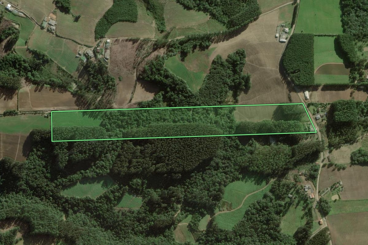Imagem de satélite do imóvel rural em Itaiópolis (SC), com o contorno declarado no CAR desenhado por cima.