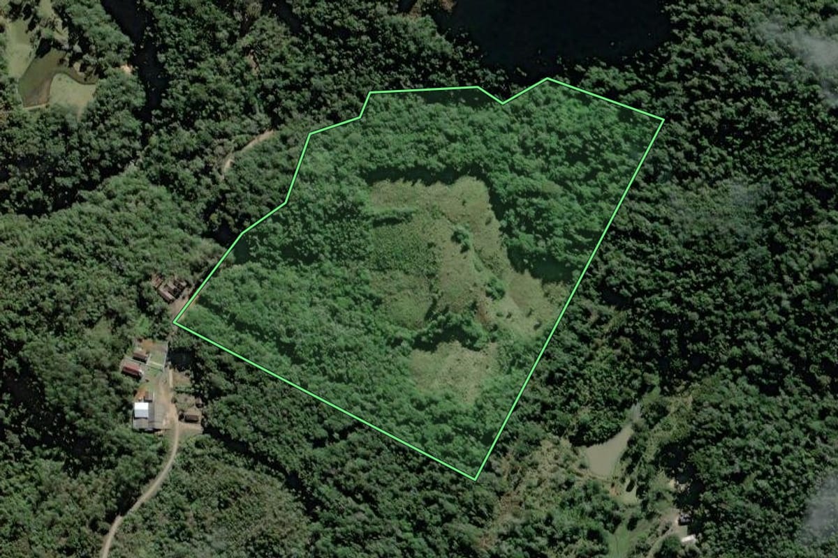 Imagem de satélite do imóvel rural em Itaiópolis (SC), com o contorno declarado no CAR desenhado por cima.