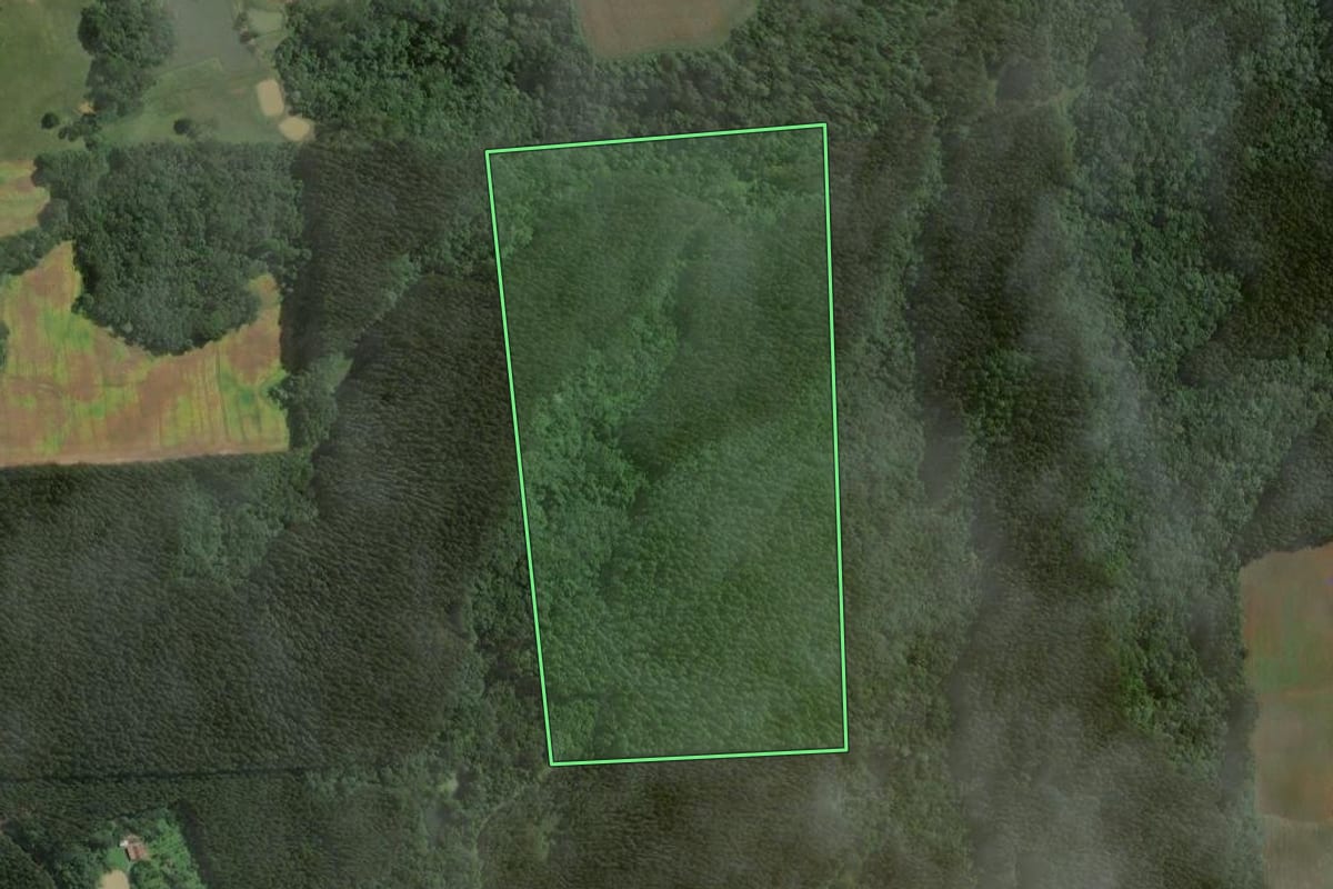 Imagem de satélite do imóvel rural em Itaiópolis (SC), com o contorno declarado no CAR desenhado por cima.
