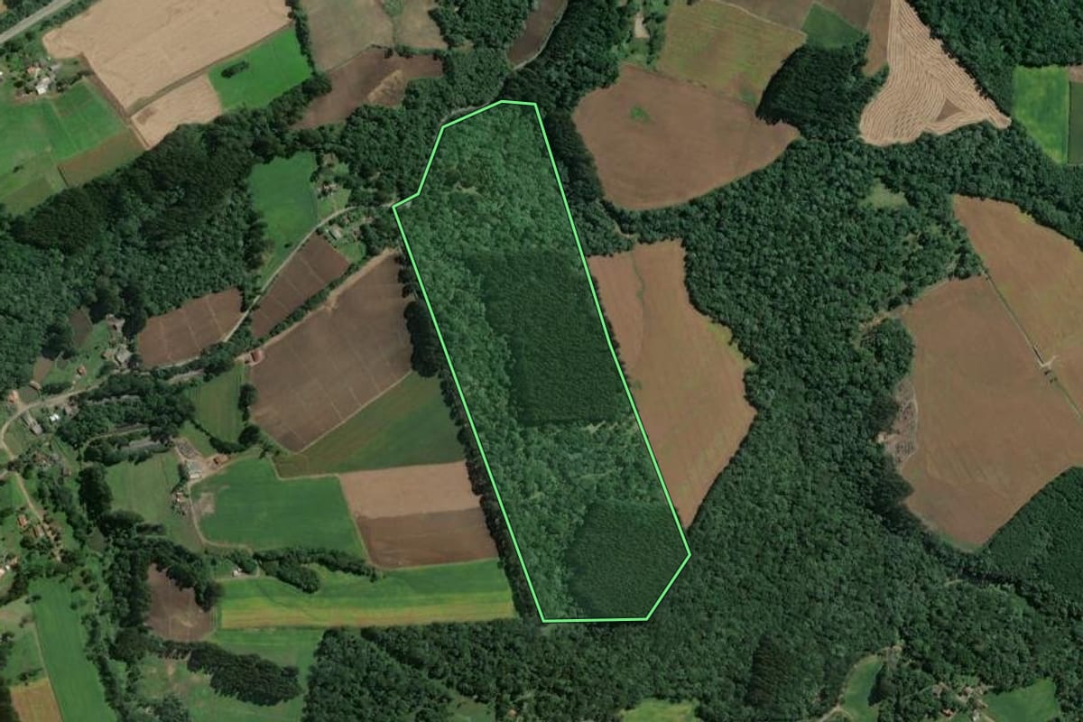 Imagem de satélite do imóvel rural em Itaiópolis (SC), com o contorno declarado no CAR desenhado por cima.