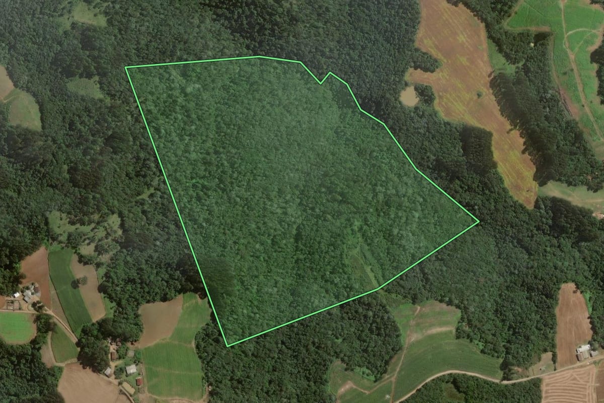 Imagem de satélite do imóvel rural em Itaiópolis (SC), com o contorno declarado no CAR desenhado por cima.