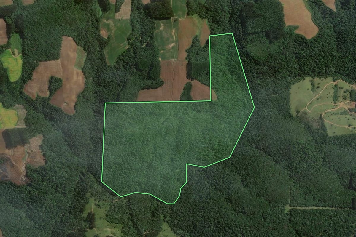 Imagem de satélite do imóvel rural em Itaiópolis (SC), com o contorno declarado no CAR desenhado por cima.