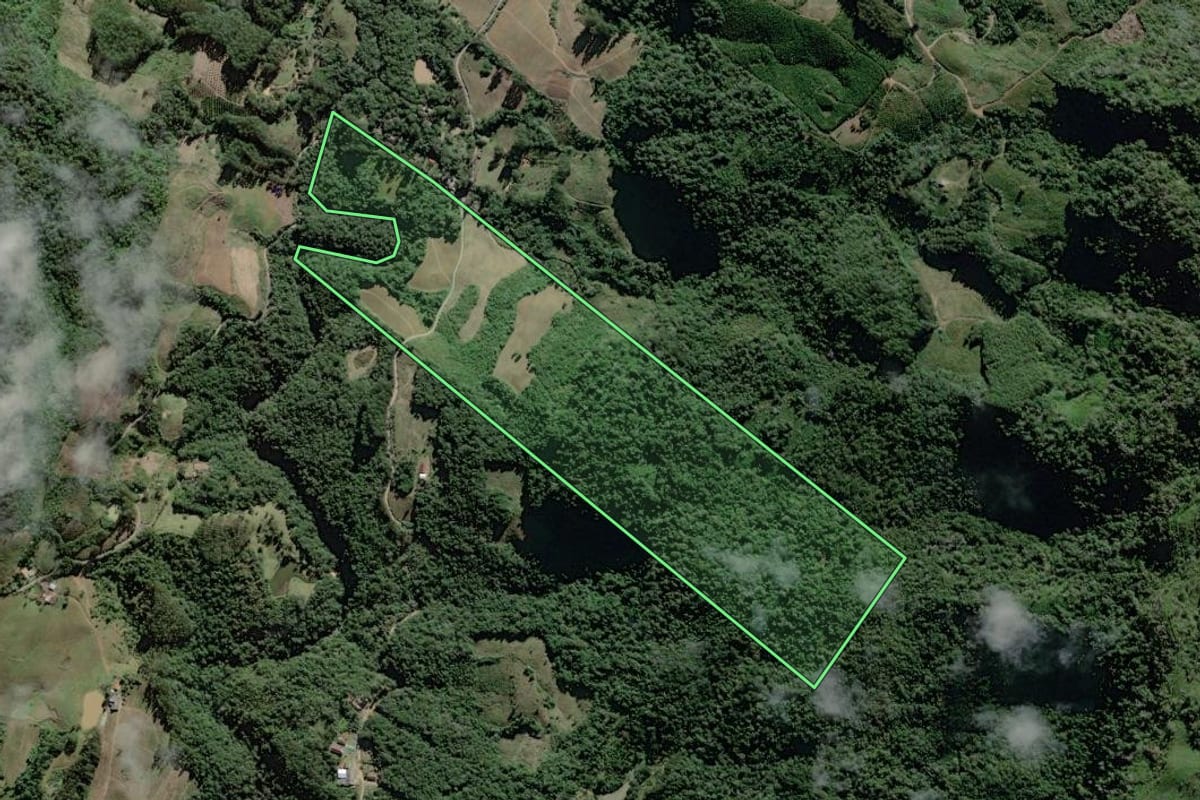 Imagem de satélite do imóvel rural em Itaiópolis (SC), com o contorno declarado no CAR desenhado por cima.