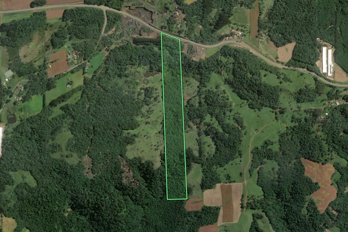 Imagem de satélite do imóvel rural em Itaiópolis (SC), com o contorno declarado no CAR desenhado por cima.