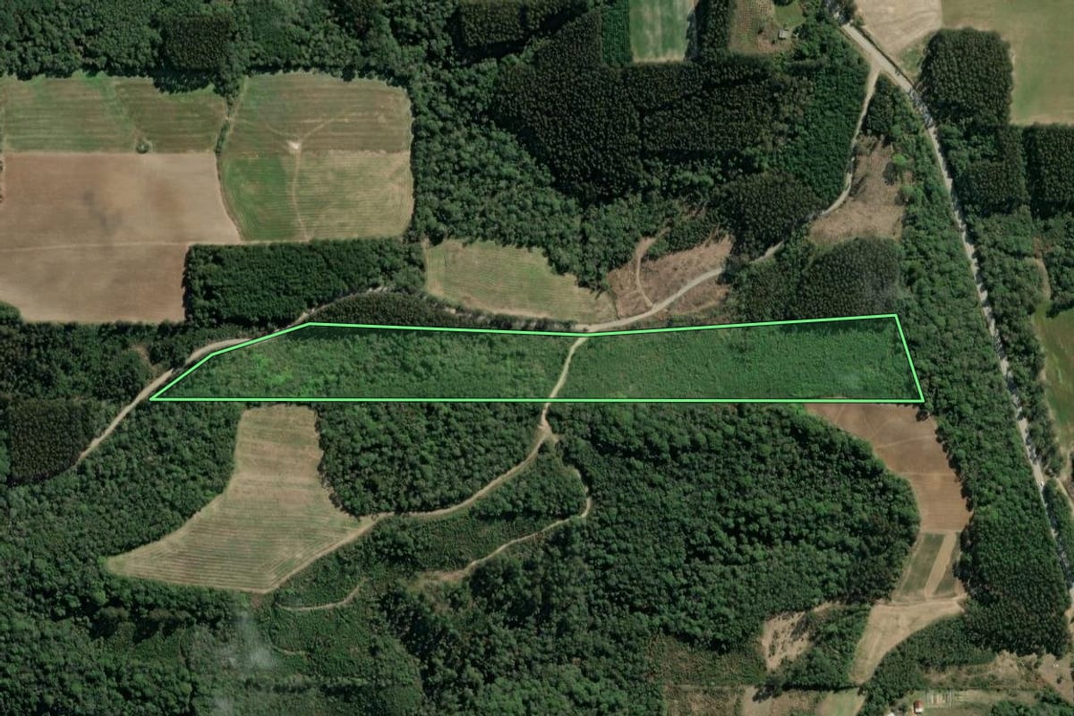 Imagem de satélite do imóvel rural em Itaiópolis (SC), com o contorno declarado no CAR desenhado por cima.