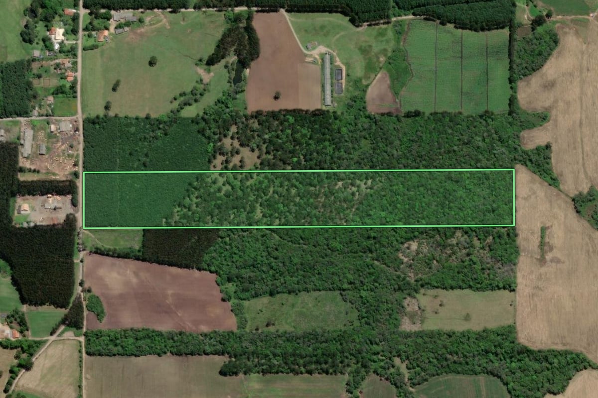 Imagem de satélite do imóvel rural em Itaiópolis (SC), com o contorno declarado no CAR desenhado por cima.