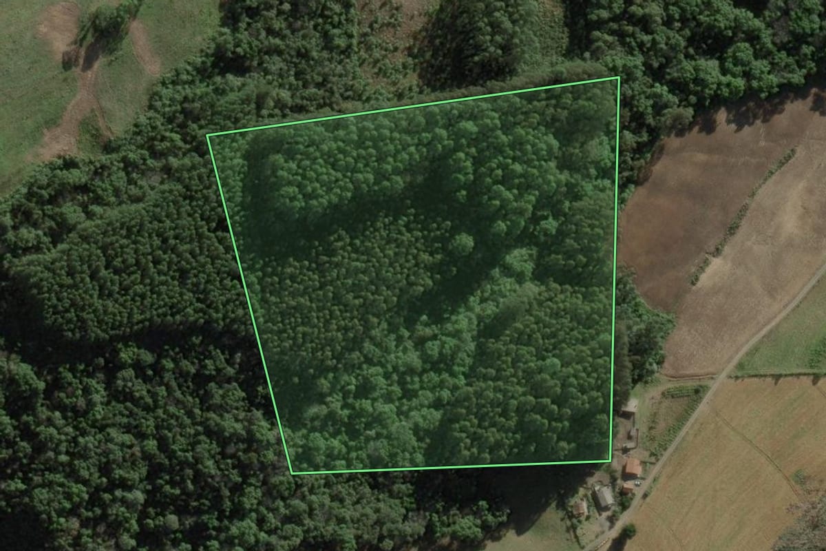 Imagem de satélite do imóvel rural em Itaiópolis (SC), com o contorno declarado no CAR desenhado por cima.