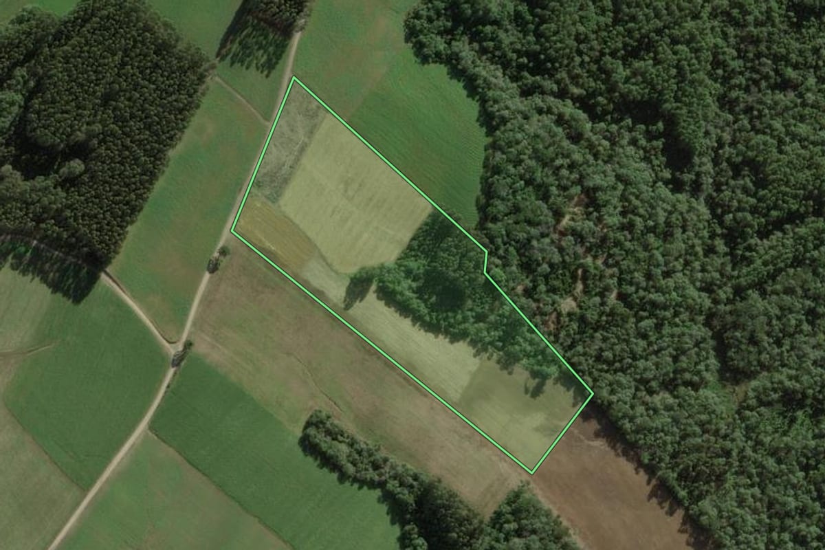 Imagem de satélite do imóvel rural em Itaiópolis (SC), com o contorno declarado no CAR desenhado por cima.