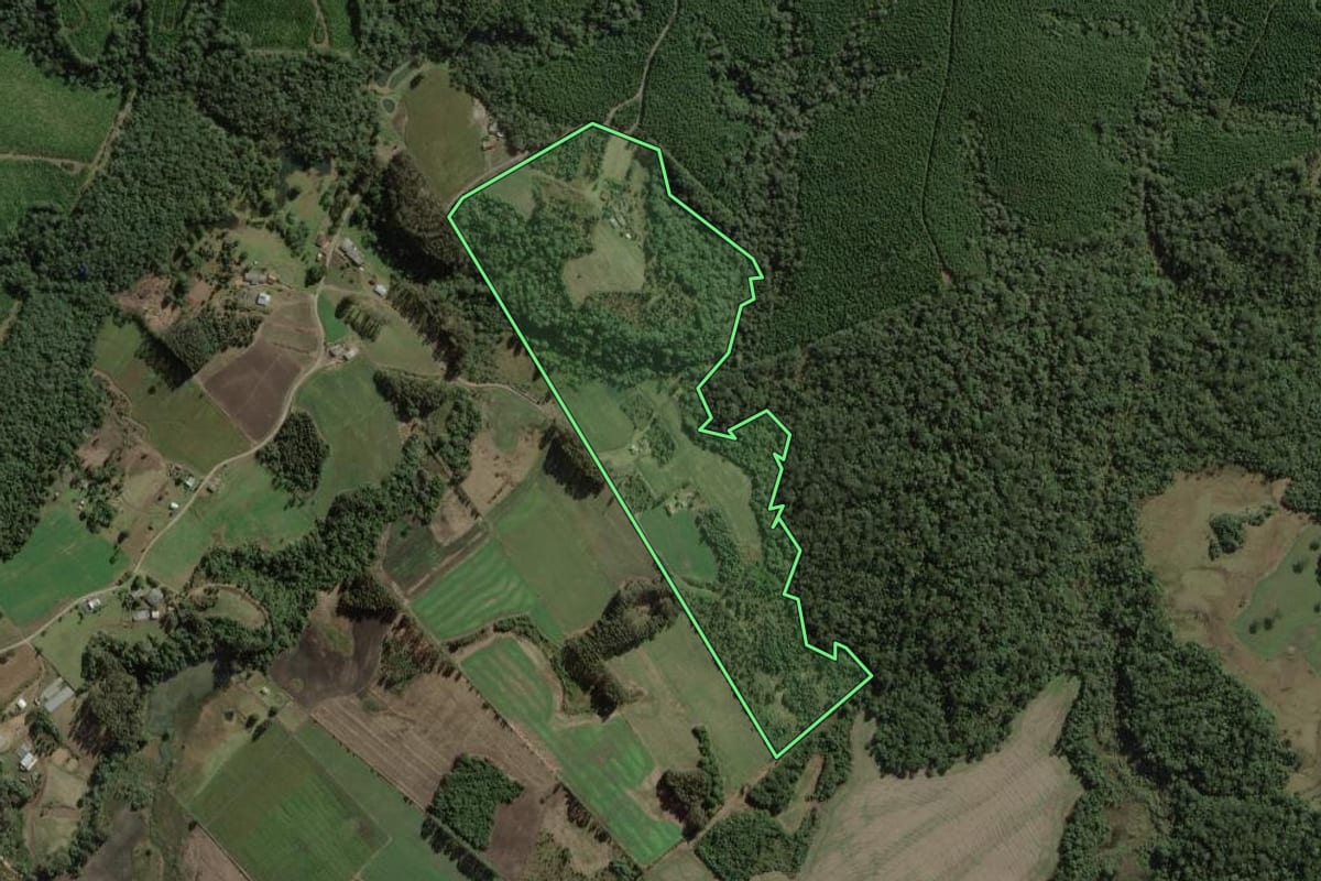 Imagem de satélite do imóvel rural em Itaiópolis (SC), com o contorno declarado no CAR desenhado por cima.