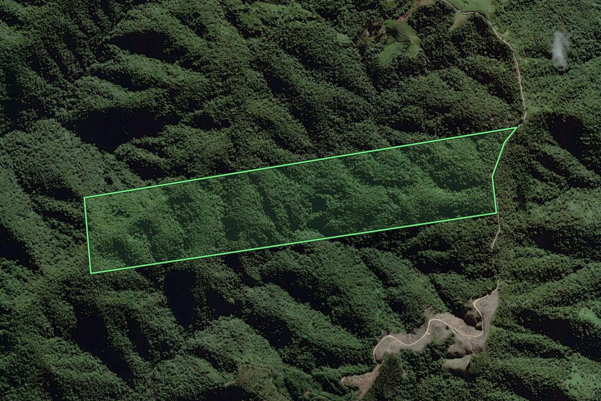Imagem de satélite do imóvel rural em Itaiópolis (SC), com o contorno declarado no CAR desenhado por cima.