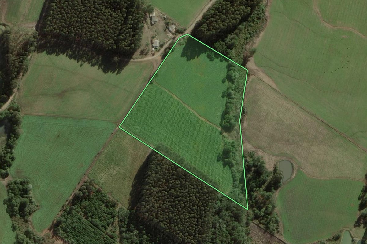 Imagem de satélite do imóvel rural em Itaiópolis (SC), com o contorno declarado no CAR desenhado por cima.