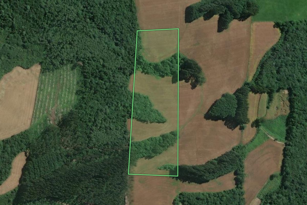 Imagem de satélite do imóvel rural em Itaiópolis (SC), com o contorno declarado no CAR desenhado por cima.