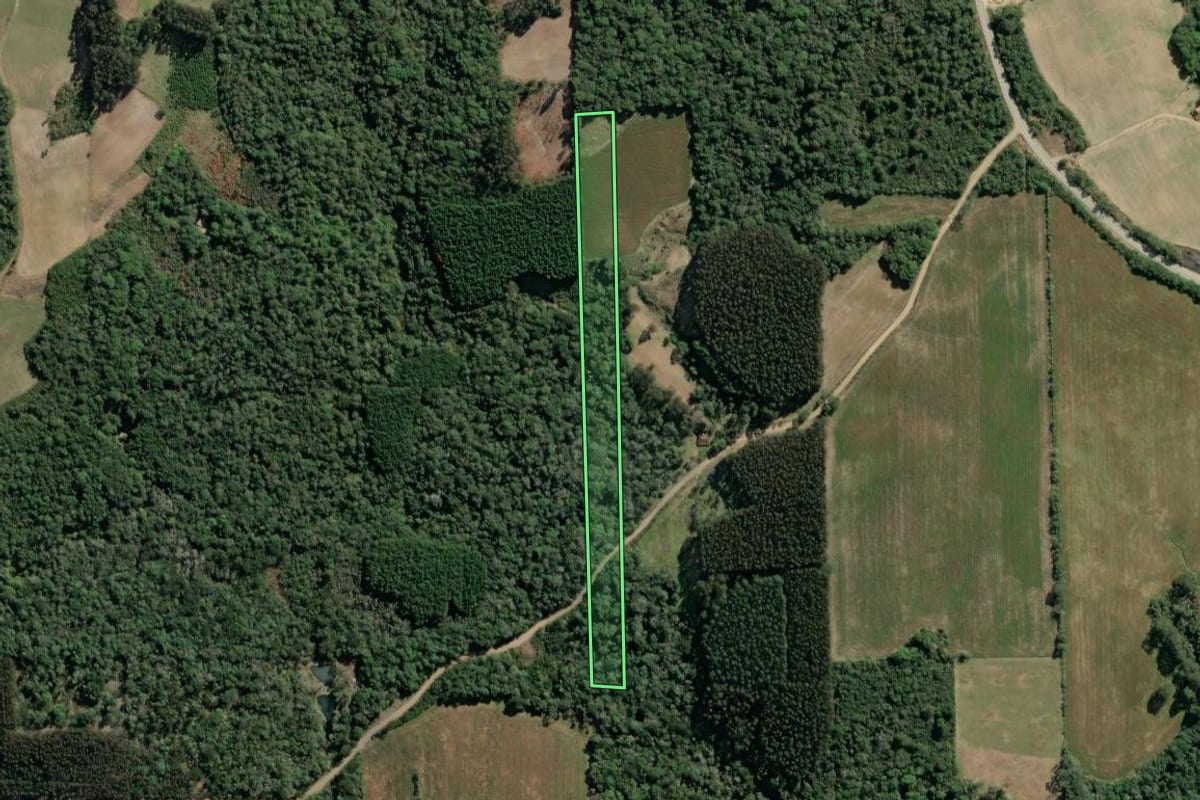 Imagem de satélite do imóvel rural em Itaiópolis (SC), com o contorno declarado no CAR desenhado por cima.