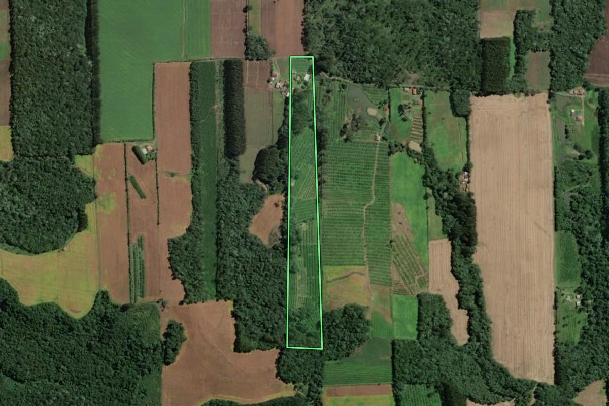 Imagem de satélite do imóvel rural em Itaiópolis (SC), com o contorno declarado no CAR desenhado por cima.