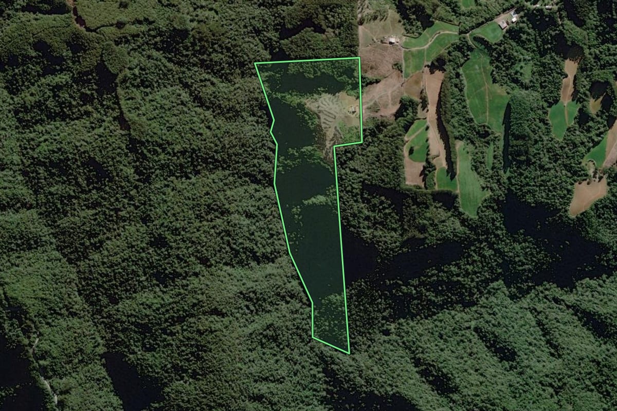 Imagem de satélite do imóvel rural em Itaiópolis (SC), com o contorno declarado no CAR desenhado por cima.