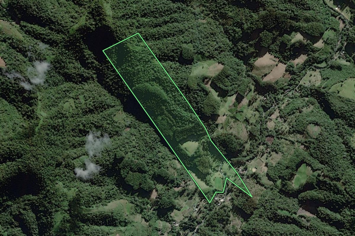 Imagem de satélite do imóvel rural em Itaiópolis (SC), com o contorno declarado no CAR desenhado por cima.