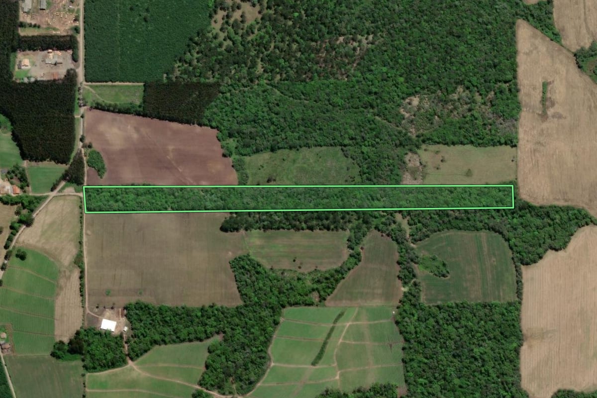 Imagem de satélite do imóvel rural em Itaiópolis (SC), com o contorno declarado no CAR desenhado por cima.