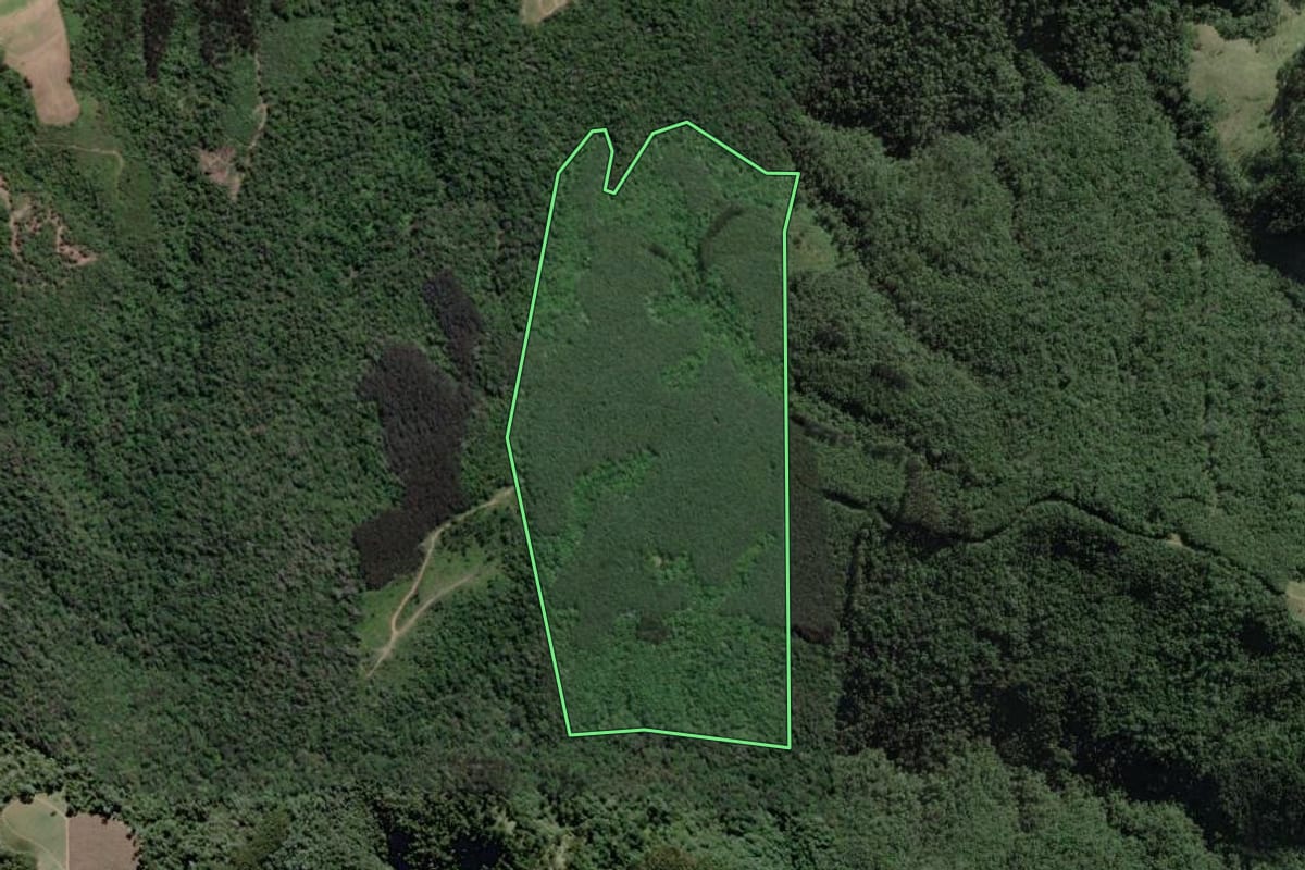Imagem de satélite do imóvel rural em Itaiópolis (SC), com o contorno declarado no CAR desenhado por cima.