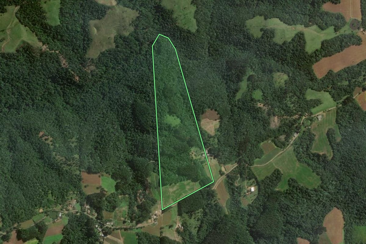 Imagem de satélite do imóvel rural em Itaiópolis (SC), com o contorno declarado no CAR desenhado por cima.