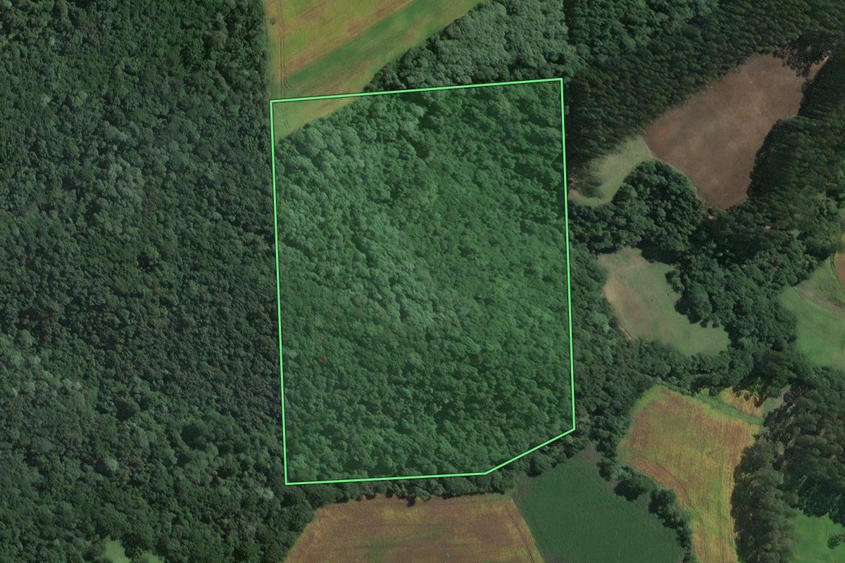Imagem de satélite do imóvel rural em Itaiópolis (SC), com o contorno declarado no CAR desenhado por cima.