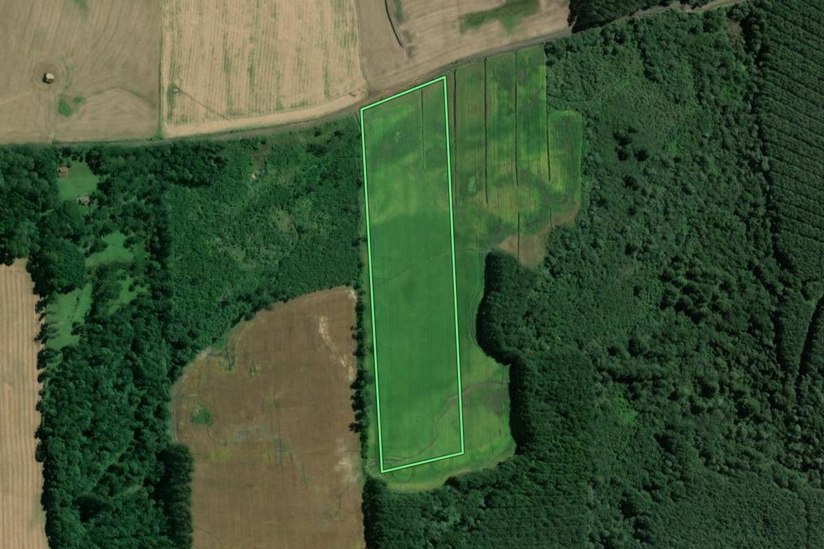 Imagem de satélite do imóvel rural em Itaiópolis (SC), com o contorno declarado no CAR desenhado por cima.