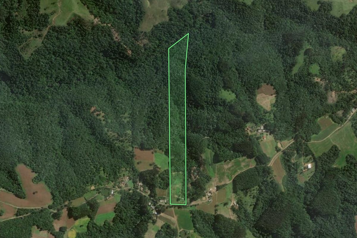 Imagem de satélite do imóvel rural em Itaiópolis (SC), com o contorno declarado no CAR desenhado por cima.