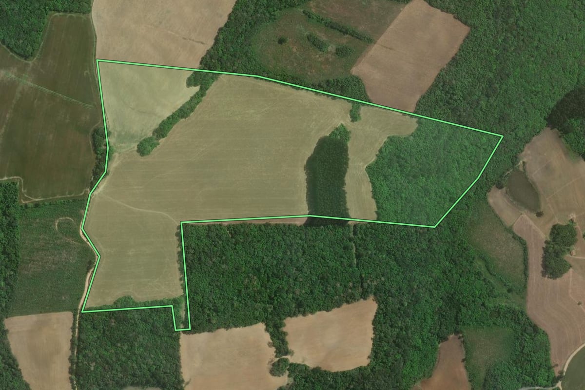 Imagem de satélite do imóvel rural em Itaiópolis (SC), com o contorno declarado no CAR desenhado por cima.