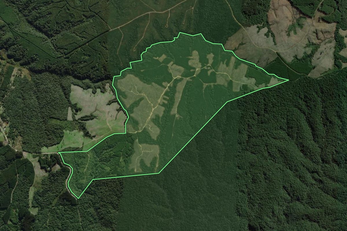 Imagem de satélite do imóvel rural em Itaiópolis (SC), com o contorno declarado no CAR desenhado por cima.