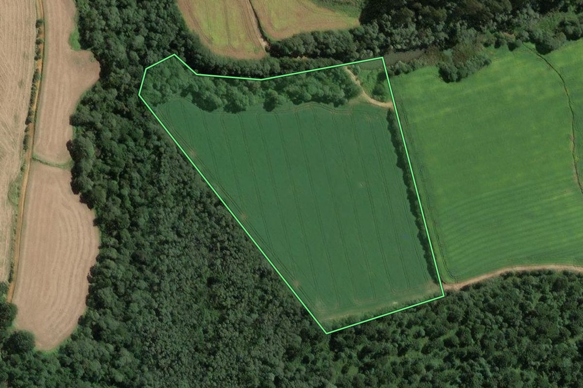 Imagem de satélite do imóvel rural em Itaiópolis (SC), com o contorno declarado no CAR desenhado por cima.