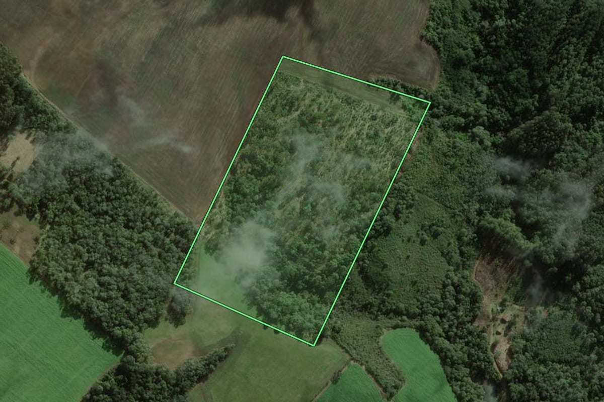 Imagem de satélite do imóvel rural em Itaiópolis (SC), com o contorno declarado no CAR desenhado por cima.