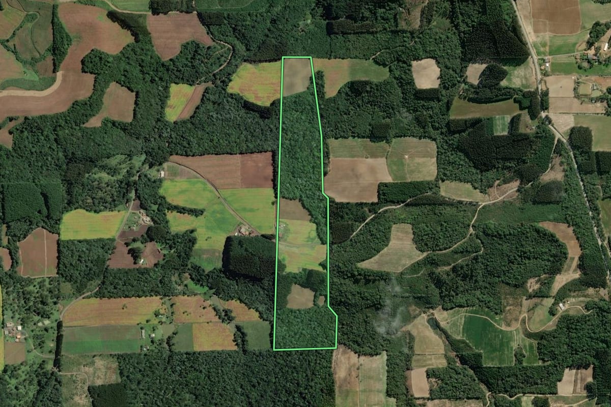 Imagem de satélite do imóvel rural em Itaiópolis (SC), com o contorno declarado no CAR desenhado por cima.
