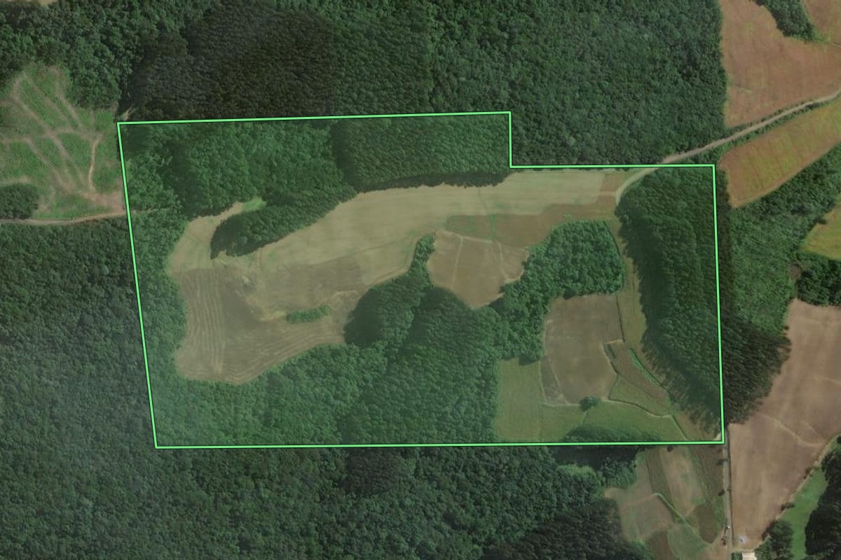 Imagem de satélite do imóvel rural em Itaiópolis (SC), com o contorno declarado no CAR desenhado por cima.