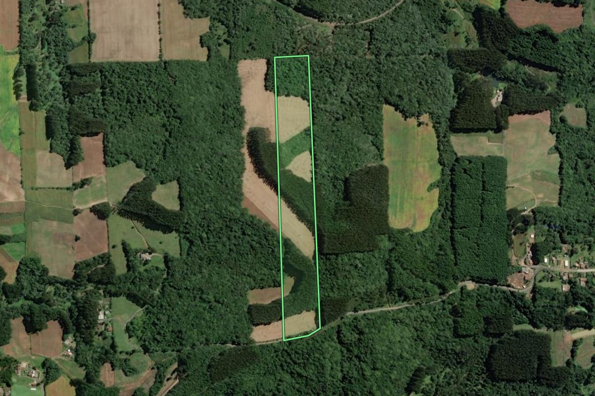 Imagem de satélite do imóvel rural em Itaiópolis (SC), com o contorno declarado no CAR desenhado por cima.