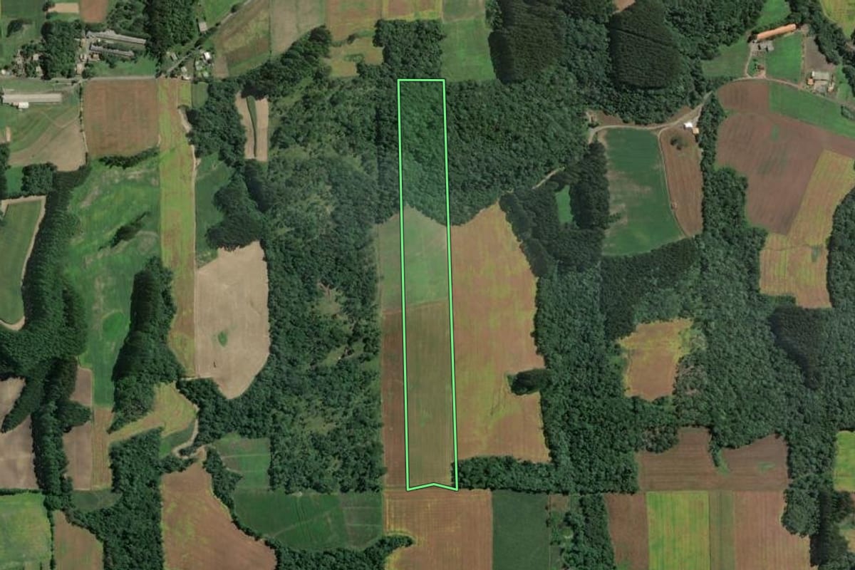 Imagem de satélite do imóvel rural em Itaiópolis (SC), com o contorno declarado no CAR desenhado por cima.