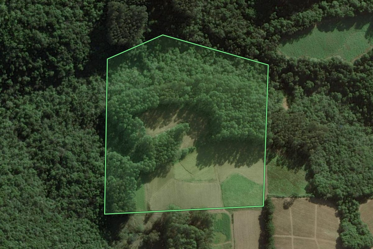 Imagem de satélite do imóvel rural em Itaiópolis (SC), com o contorno declarado no CAR desenhado por cima.